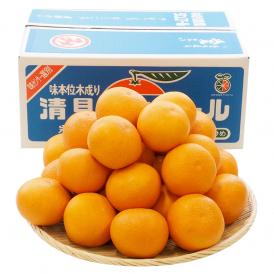 送料無料　愛媛県産　三崎の清見オレンジ　秀品　Lサイズ　5キロ箱　（26玉前後） 　柑橘　タンゴール　かんきつ