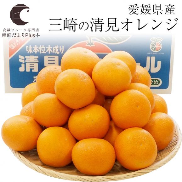 送料無料　愛媛県産　三崎の清見オレンジ　秀品　Lサイズ　5キロ箱　（26玉前後） 　柑橘　タンゴール　かんきつ02