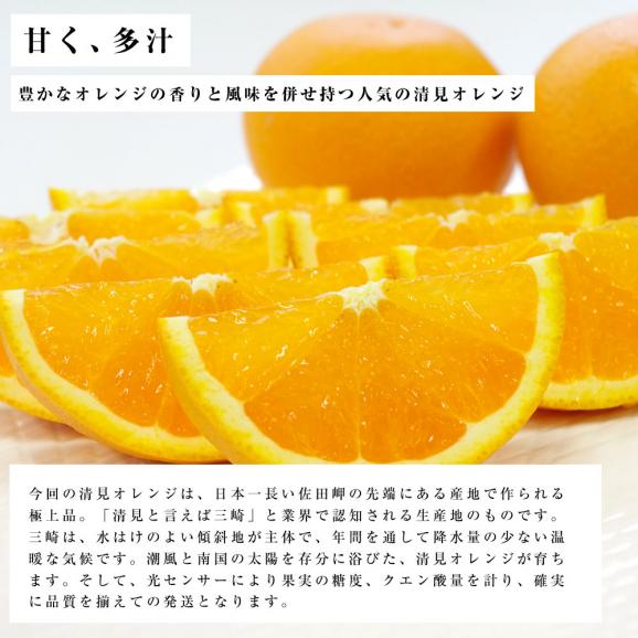 送料無料　愛媛県産　三崎の清見オレンジ　秀品　Lサイズ　5キロ箱　（26玉前後） 　柑橘　タンゴール　かんきつ04