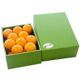 送料無料　愛媛県　中島町産　カラマンダリン　赤秀品　LからMサイズ　2.5キロ化粧箱(21から25玉) 柑橘　みかん