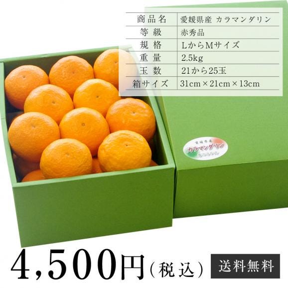 送料無料　愛媛県　中島町産　カラマンダリン　赤秀品　LからMサイズ　2.5キロ化粧箱(21から25玉) 柑橘　みかん06