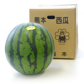 送料無料　熊本県産　超大玉スイカ　秀品　4Lサイズ以上　10キロ　西瓜　すいか