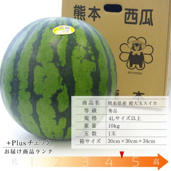 送料無料　熊本県産　超大玉スイカ　秀品　4Lサイズ以上　10キロ　西瓜　すいか03