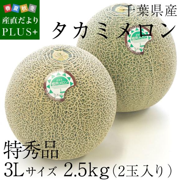 千葉県産 タカミメロン 特秀品 3Lサイズ 2.5キロ（2玉入り） 送料無料 青肉メロン 貴味メロン02