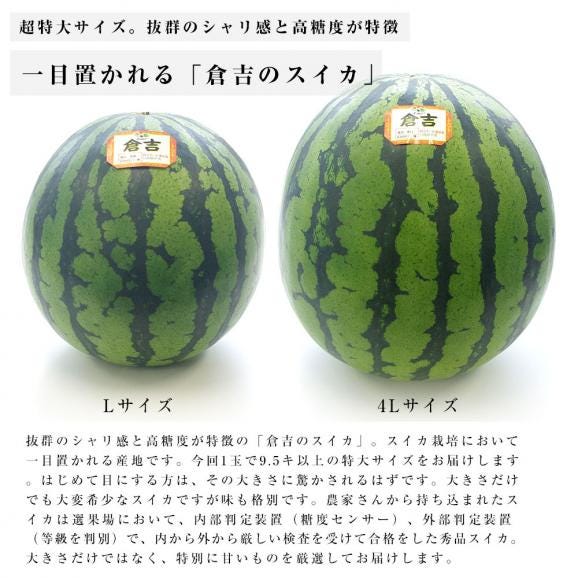 送料無料　鳥取県産　超大玉スイカ　秀品　4Lサイズ以上　1玉（約9.5キロ） すいか　西瓜04