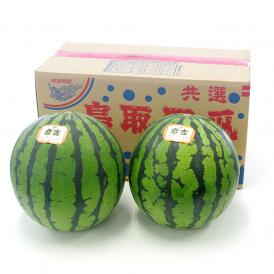 送料無料　鳥取県産　大玉スイカ　秀品　Lサイズ以上×2玉（約6キロ×2玉）合計12キロ以上　 すいか　西瓜