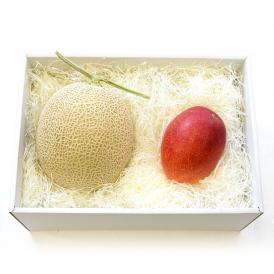 北海道メロンと宮崎マンゴー 詰合せフルーツセット 化粧箱入り めろん まんごー 送料無料 お中元ギフト