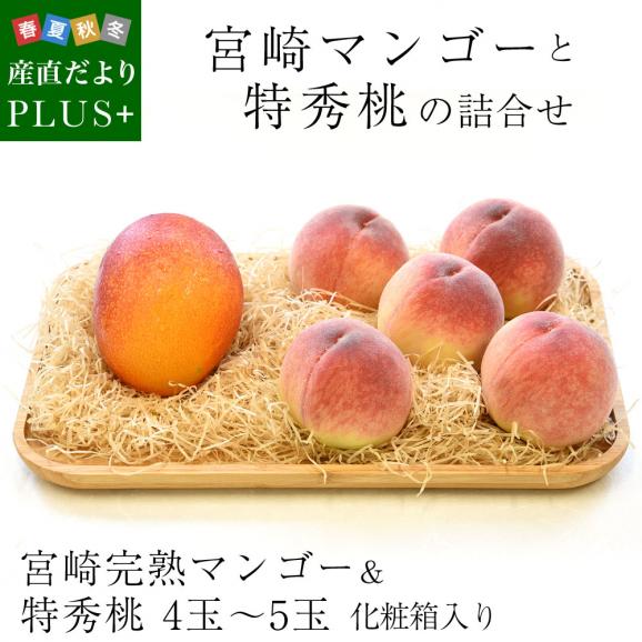 宮崎マンゴーと特秀桃 詰合せフルーツセット 化粧箱入り まんごー もも 送料無料 お中元ギフト02