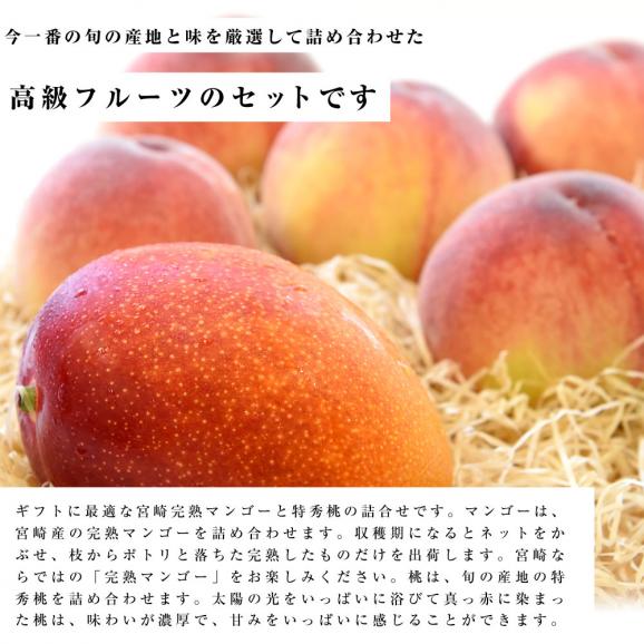 宮崎マンゴーと特秀桃 詰合せフルーツセット 化粧箱入り まんごー もも 送料無料 お中元ギフト04