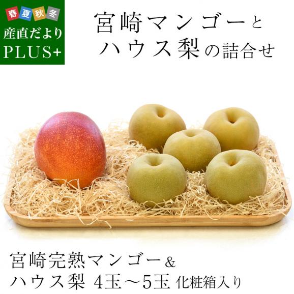 送料無料　宮崎マンゴーとハウス梨　詰合せ　化粧箱入り　フルーツセット　まんごー　なし　夏ギフト201902
