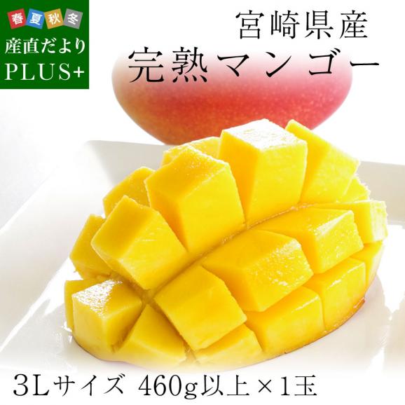 送料無料 宮崎県産 完熟マンゴー 3Lサイズ 460g以上×1玉 まんごー 夏 ...