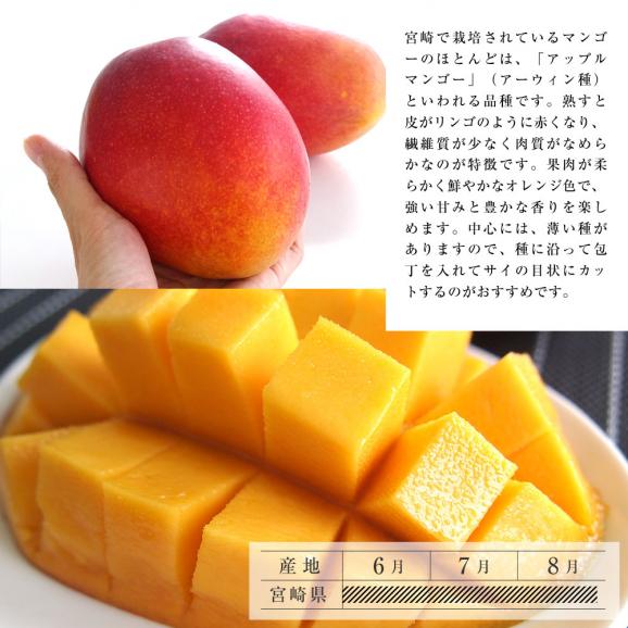 送料無料　宮崎県産　完熟マンゴー　3Lサイズ　460g以上×1玉　まんごー　夏ギフト201905