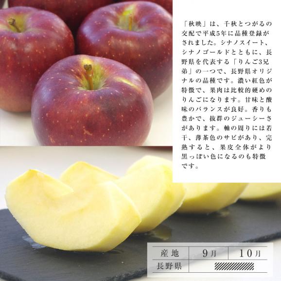 送料無料　長野県産　秋映 (あきばえ)　特秀品　約5キロ (14玉から18玉) りんご 林檎04