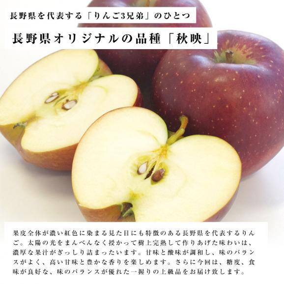 送料無料　長野県産　秋映 (あきばえ)　特秀品　約5キロ (14玉から18玉) りんご 林檎05