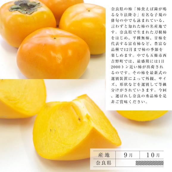 送料無料　奈良県産　たねなし柿　2Lサイズ　約2.5キロ　（10玉） 　柿　たねなし柿　刀根柿　平種無柿05