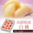 山形県産【白桃3kg箱(10～12玉)秀品】中玉サイズ化粧箱入り贈答用【送料無料】