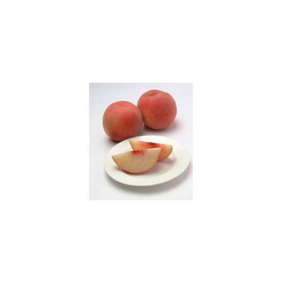 山形県産【白桃3kg箱(10～12玉)秀品】中玉サイズ化粧箱入り贈答用【送料無料】02