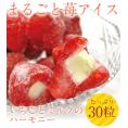 送料無料　まるごと苺アイス(30粒)　ラッピング対応無料