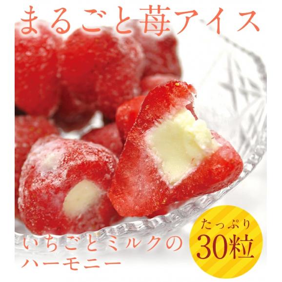 送料無料　まるごと苺アイス(30粒)　ラッピング対応無料01