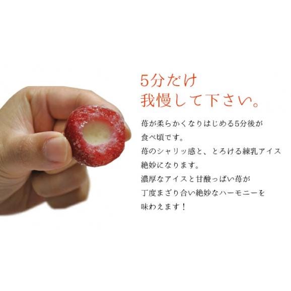 送料無料　まるごと苺アイス(30粒)　ラッピング対応無料03