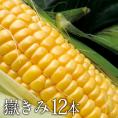 青森県産とうもろこし 嶽きみ 12本セット プレミアムとうもろこし 送料無料 まるで果物のような甘さ だけきみ トウモロコシ コーン