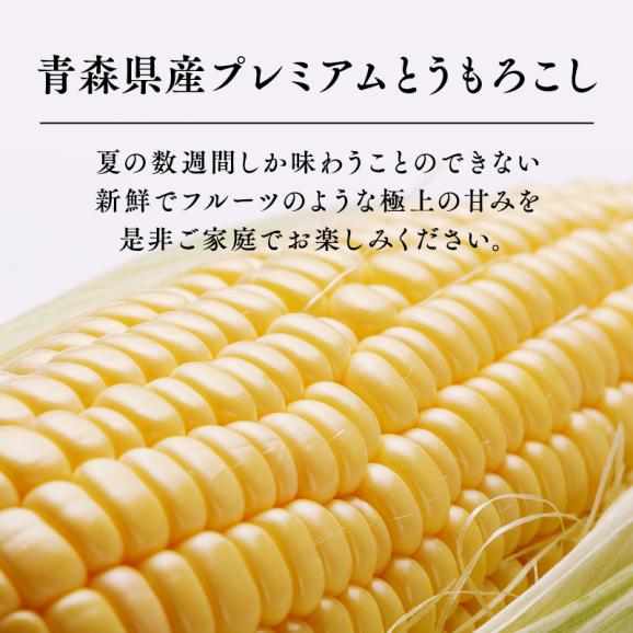 青森県産とうもろこし 嶽きみ 12本セット プレミアムとうもろこし 送料無料 まるで果物のような甘さ だけきみ トウモロコシ コーン02