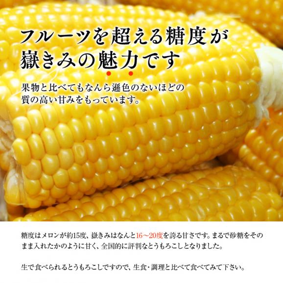 青森県産とうもろこし 嶽きみ 12本セット プレミアムとうもろこし 送料無料 まるで果物のような甘さ だけきみ トウモロコシ コーン03