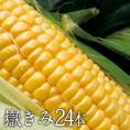 青森県産プレミアムとうもろこし 嶽きみ 24本セット プレミアムとうもろこし だけきみ まるで果物のような甘さ だけきみ トウモロコシ コーン