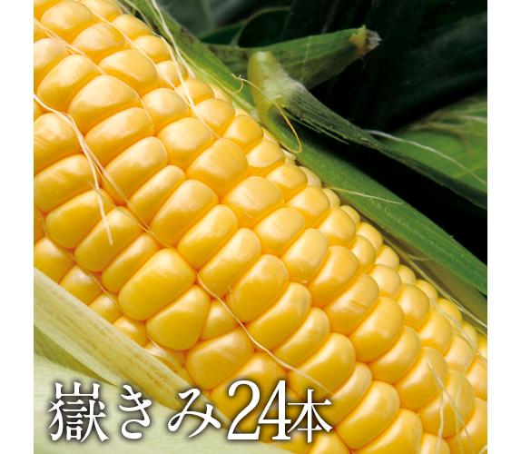 sp1_ic24_free_574.jpg?