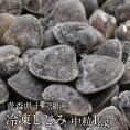 送料無料　青森県十三湖　冷凍しじみ中粒 1kg（ヤマトシジミ）砂抜き済み　国産