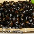 送料無料　青森県十三湖　活しじみ中粒 1kg（ヤマトシジミ）砂抜き未　国産
