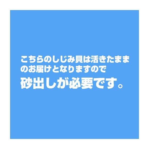 送料無料　青森県十三湖　活しじみ中粒 2kg（ヤマトシジミ）砂抜き未　国産03