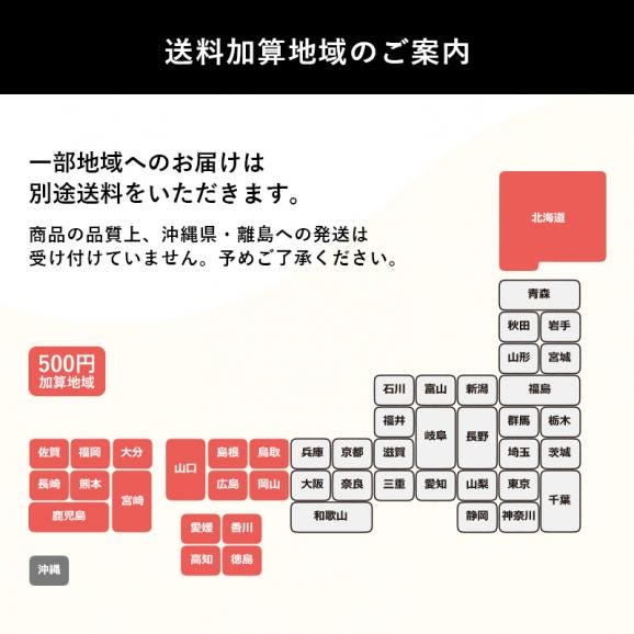 大人気！　国産　冷凍ブルーベリー3kg　完熟果実を瞬間冷凍【送料無料】　国産 ブルーベリー フルーツ　冷凍　アイス　山形県　3袋セット06