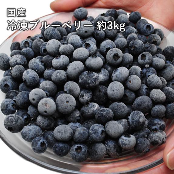 大人気！ 国産 冷凍ブルーベリー3kg 完熟果実を瞬間冷凍【送料無料