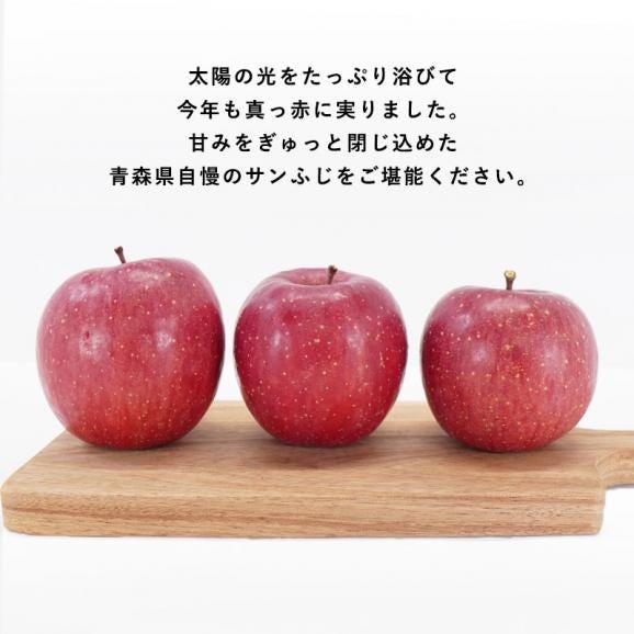 送料無料 青森県産 訳あり サンふじ ご家庭用3kg 人気の訳ありリンゴ 家庭用 青森 青森産 訳あり サンふじ りんご 林檎 ふじ03