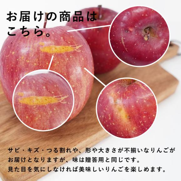 送料無料 青森県産 訳あり サンふじ ご家庭用3kg 人気の訳ありリンゴ 家庭用 青森 青森産 訳あり サンふじ りんご 林檎 ふじ04