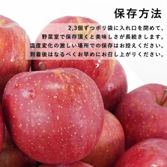送料無料 青森県産 訳あり サンふじ ご家庭用3kg 人気の訳ありリンゴ 家庭用 青森 青森産 訳あり サンふじ りんご 林檎 ふじ06