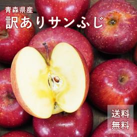 送料無料 青森県産 訳あり サンふじ ご家庭用5kg 人気の訳ありリンゴ 家庭用 青森 青森産 訳あり サンふじ りんご 林檎 ふじ