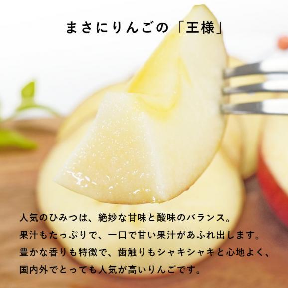 送料無料 青森県産 訳あり サンふじ ご家庭用5kg 人気の訳ありリンゴ 家庭用 青森 青森産 訳あり サンふじ りんご 林檎 ふじ02