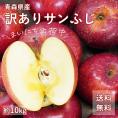 送料無料 青森県産 訳あり サンふじ ご家庭用10kg 人気の訳ありリンゴ 家庭用 青森 青森産 訳あり サンふじ りんご 林檎 ふじ
