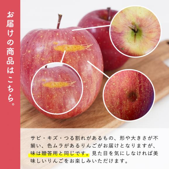 送料無料 青森県産 訳あり サンふじ ご家庭用10kg 人気の訳ありリンゴ
