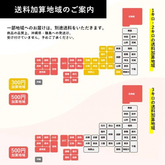 大人気！　国産　冷凍ブルーベリー2kg　完熟果実を瞬間冷凍【送料無料】　国産 ブルーベリー フルーツ　冷凍　アイス　山形県　2袋セット06