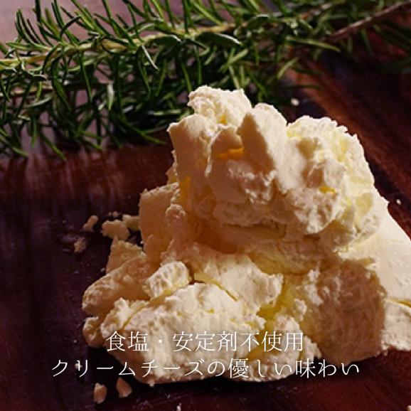 【1日10個 限定】ファインカカオ&ゆずの麹チーズケーキ 4~6人用 （無添加・グルテンフリー）04