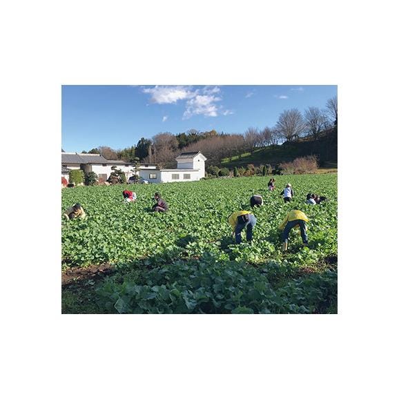 菜種油・しょうゆ２本入りギフトセット05