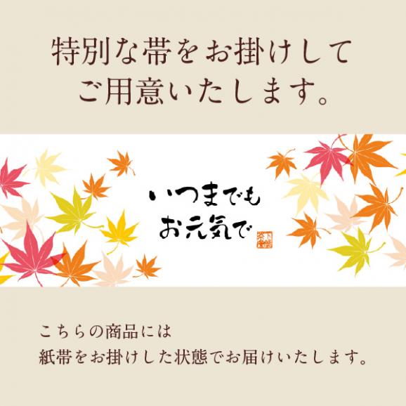 敬老の日祝い膳〈申込期間は9月15日まで〉04