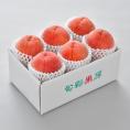 山梨県産 水蜜桃1.5kg(5〜6玉) No.131 7月上旬出荷〜