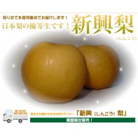 新興梨（しんこうなし）５kg