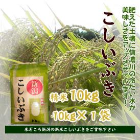 味と香りは産地直送で！米どころ新潟の新米「こしいぶき」をご賞味下さい。