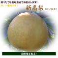 新高梨（３.５kg）