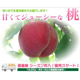 ご奉仕品！新太郎農園の桃（ご自宅用３kg）